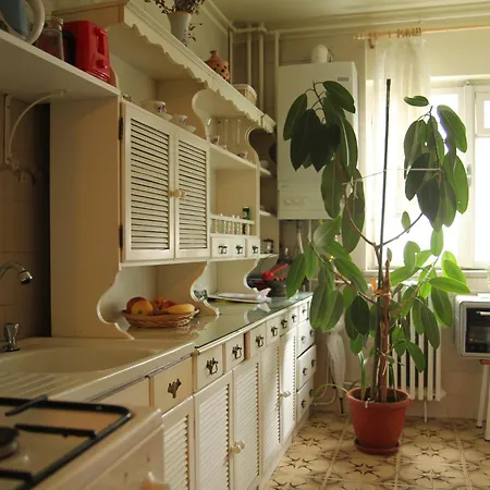 Cozy Classic Near The Office Apartment