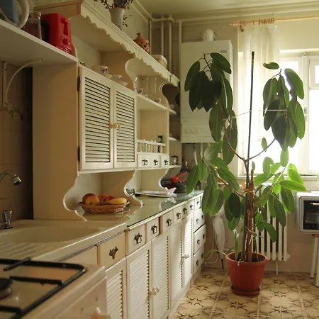 Cozy Classic Near The Office Apartment